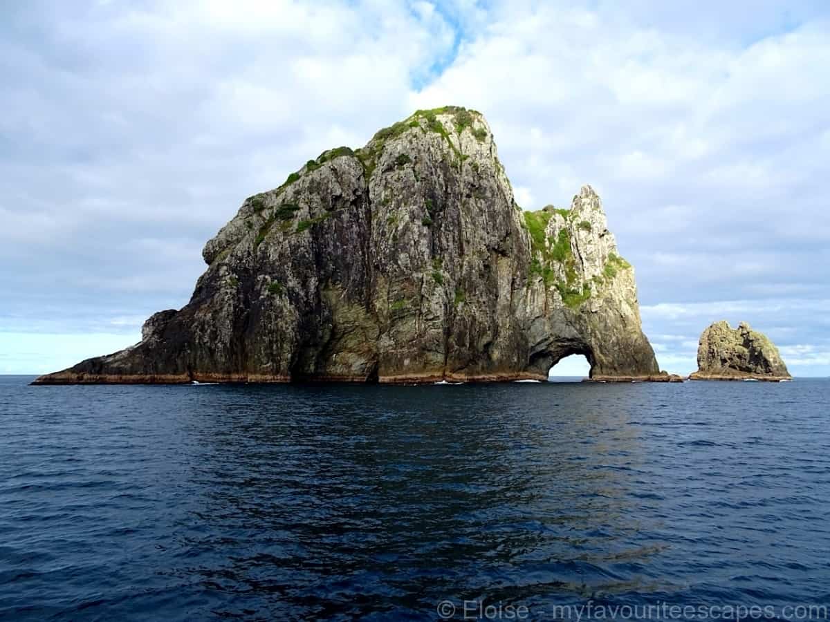 Read more about the article Cruising the wild Bay of Islands to spot dolphins and seals