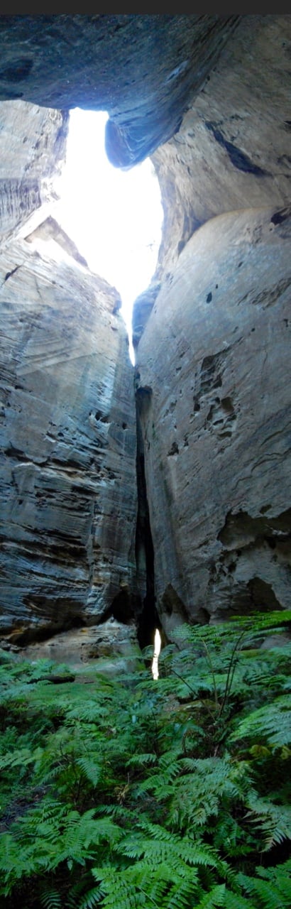 Carnarvon Gorge - amphitheatre panorama