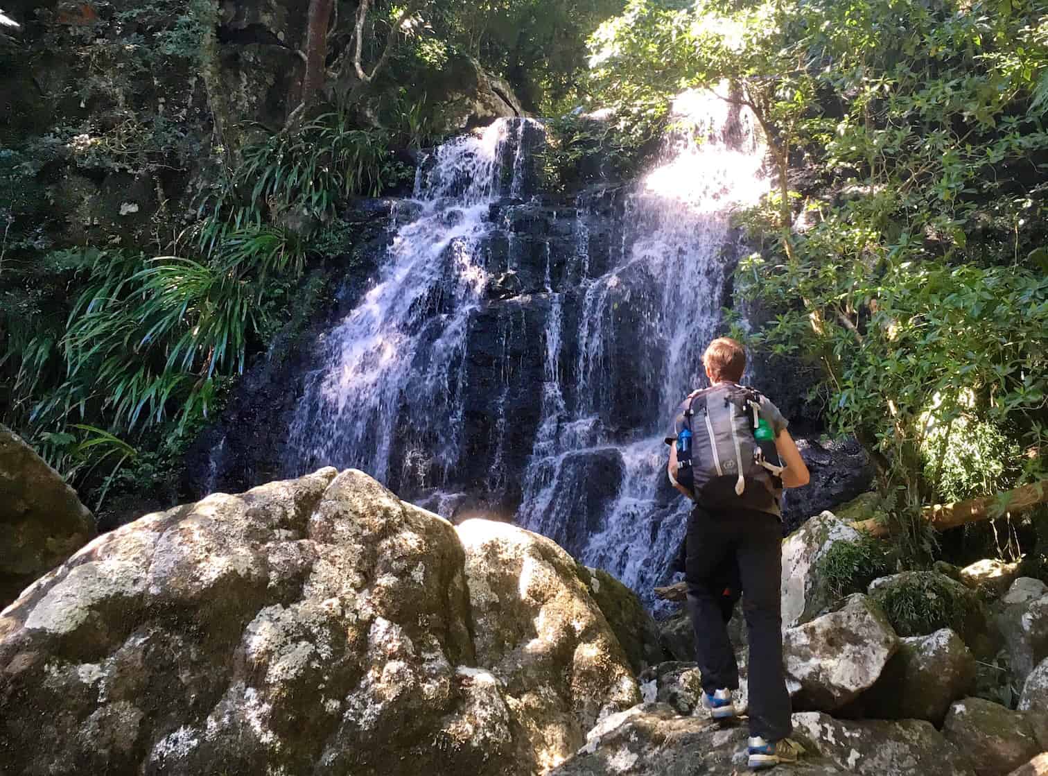 Mtb Border Ranges Border Ranges National Park camping and hiking: Tips to plan your trip