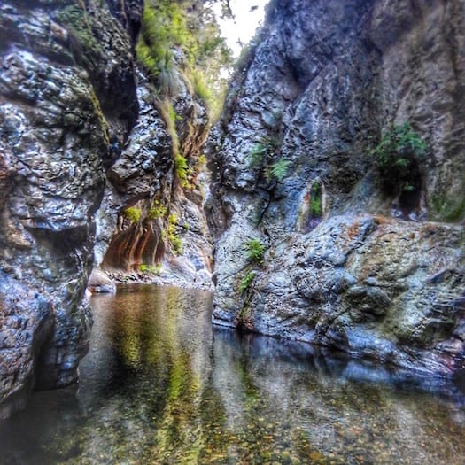 Northbrook the perfect hike when it’s hot in Brisbane