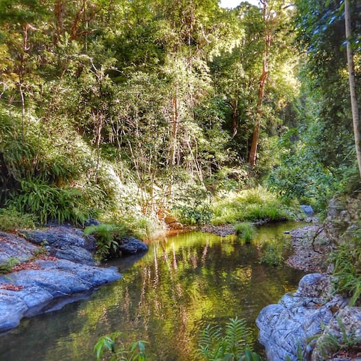 Northbrook the perfect hike when it’s hot in Brisbane