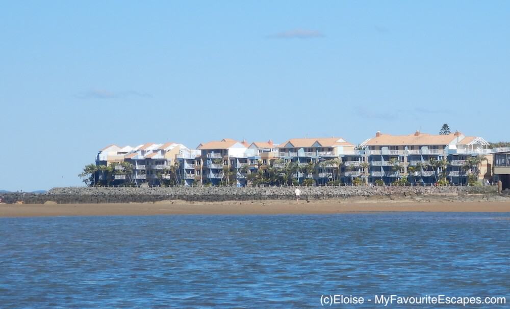 A fun day kayaking in Hervey Bay where you can go and what you can see