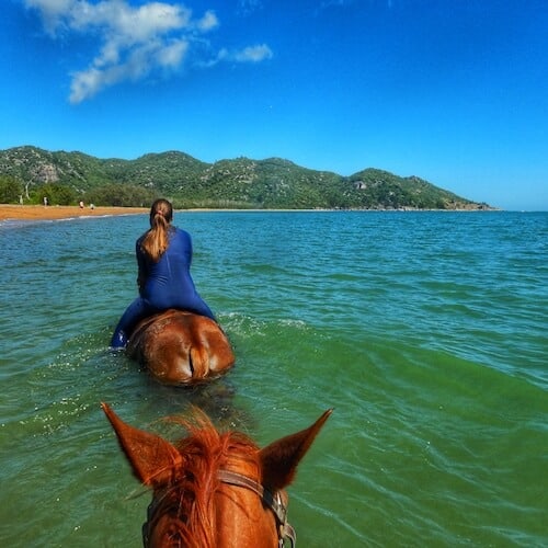 Horse Riding Island Everything You Need To Know!