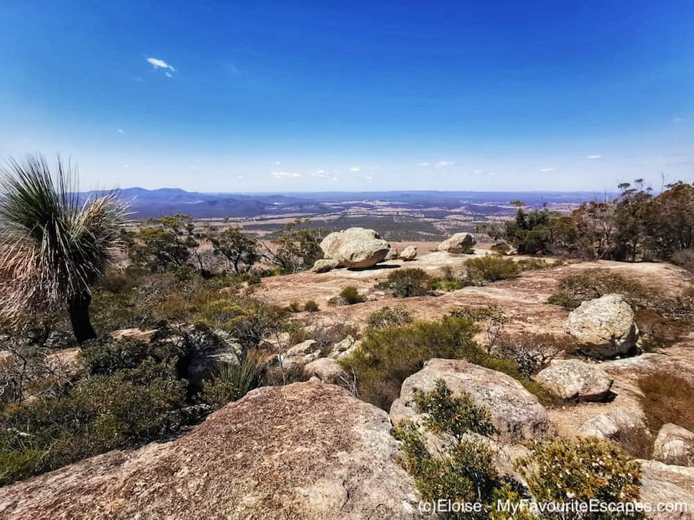 Mount Walsh National Park: a fun summit hike and lovely drive off the ...