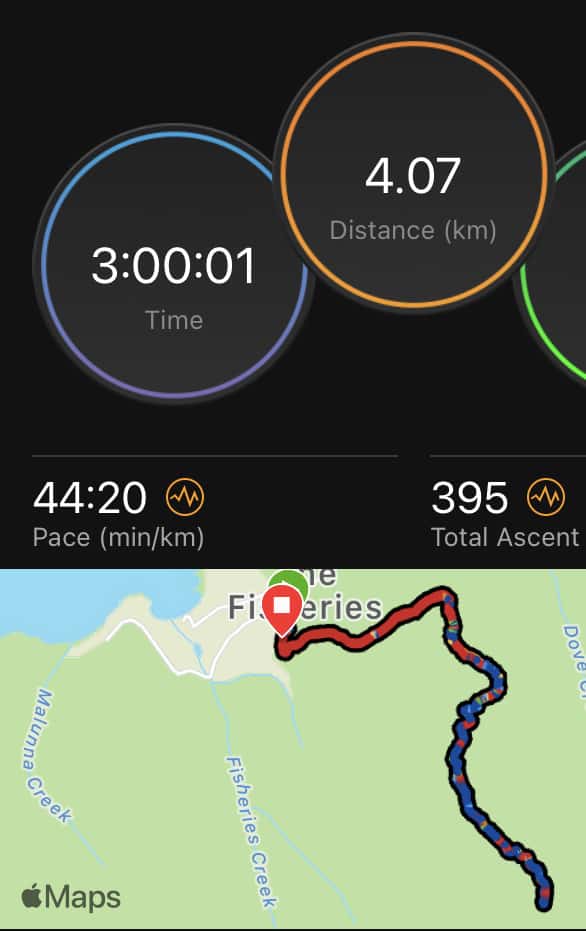 Screenshot of the Garmin app stats for climbing Mount Amos. Time: 3 hours; distance: 4.07 km; pace: 44:20 min/km; total ascent: 395m.