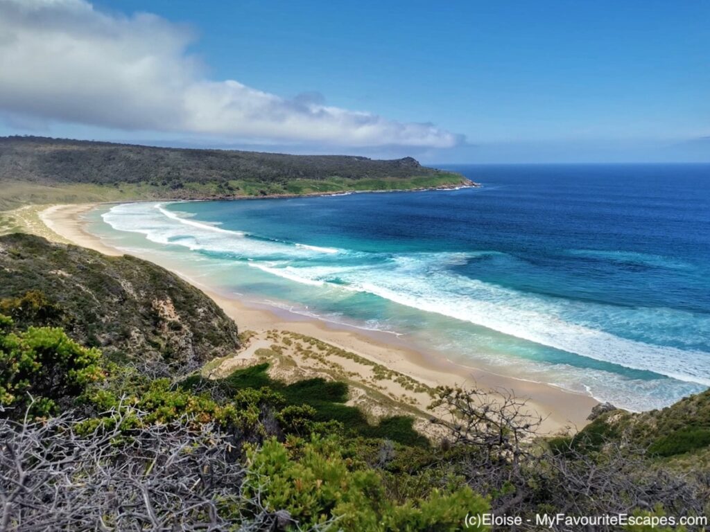 Seven reasons why Bruny Island is worth visiting