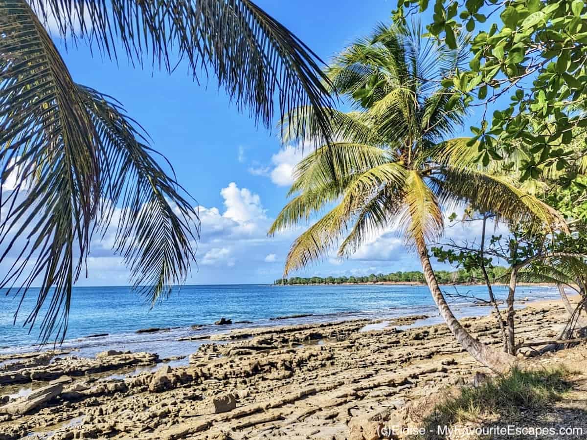 Lire la suite à propos de l’article Pourquoi visiter la Guadeloupe ? Voilà ce qui rend ces îles si spéciales…