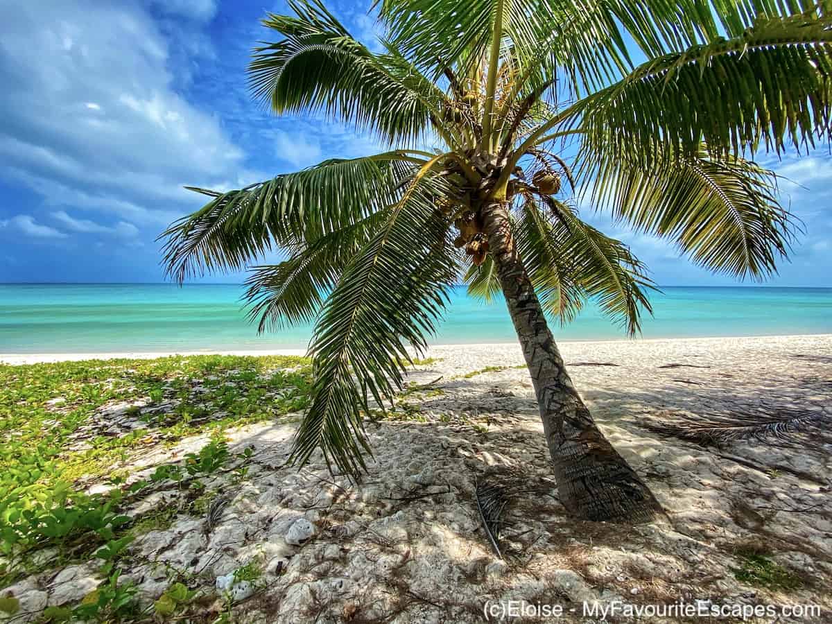 Lire la suite à propos de l’article Ouvéa est-elle la plus belle île de Nouvelle-Calédonie ? Nos conseils pour votre séjour