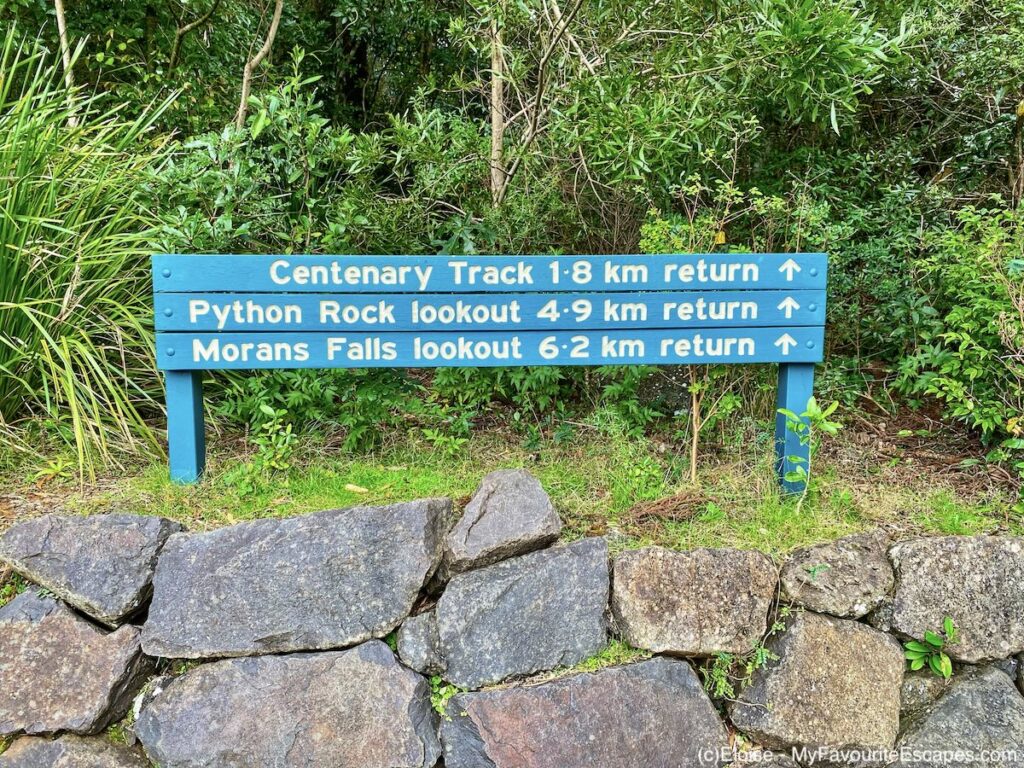 Moran Falls: An easy walk with nice views in Lamington National Park