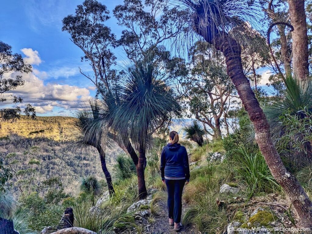 Moran Falls: An easy walk with nice views in Lamington National Park