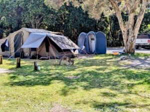 Camping halfway between Brisbane and Sydney to meet with friends in nature