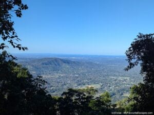 Why I loved the Morelia Track and Atrax Circuit on Mount Nebo