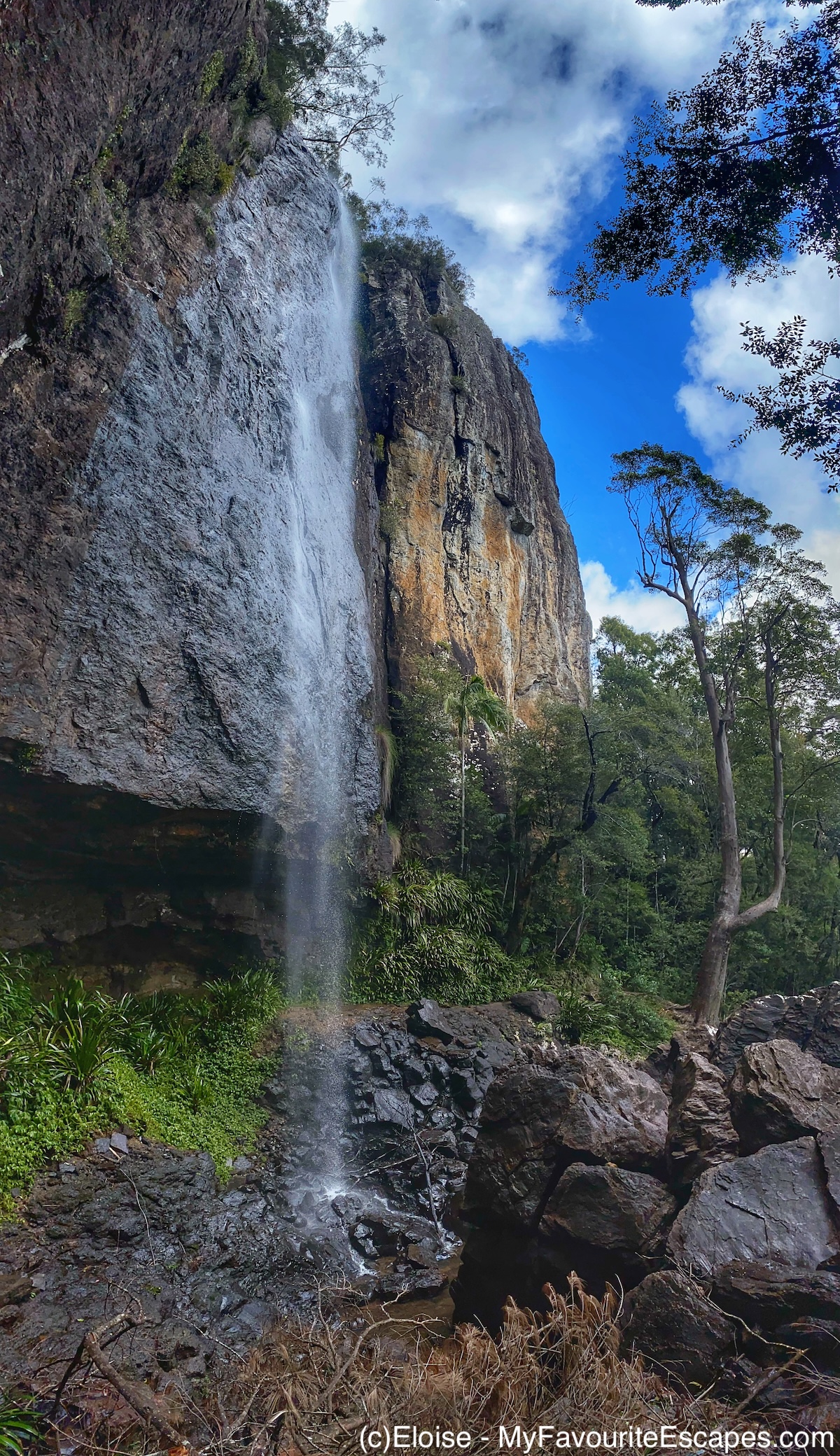 Springbrook Lookouts What to do in Springbrook National Park: lookouts, hikes and itinerary ...